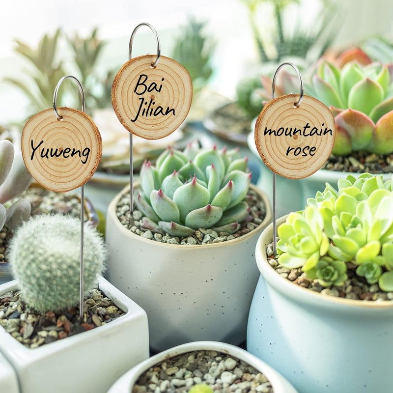 Temlum Wooden Plant Labels with Marker Pen, 25 Pcs Garden Markers Garden Label Stakes Plant Sign Tags for Flowers, Herbs, Potted Plants, Seed - Image 2